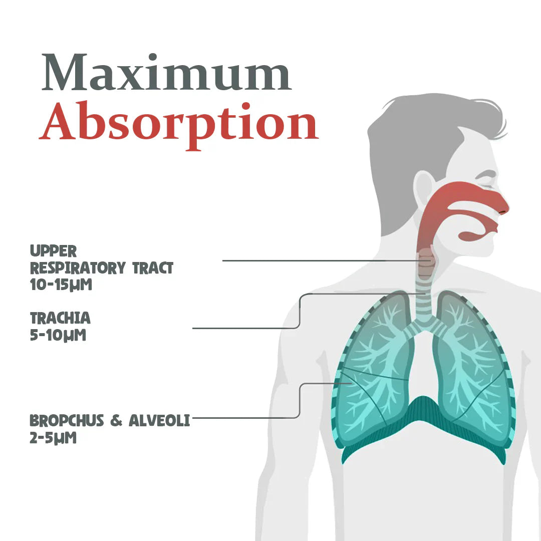 Portable Travel Nebulizer